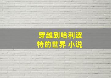 穿越到哈利波特的世界 小说